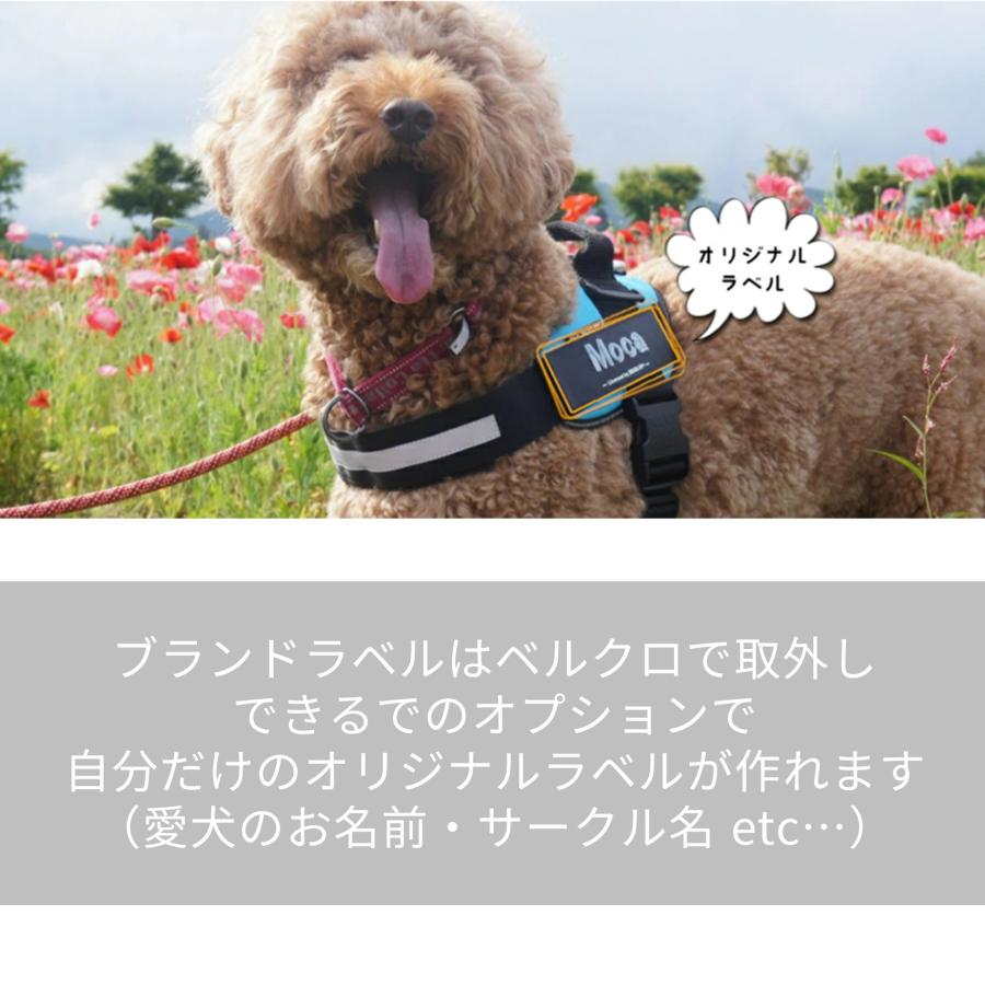 ラベルプレゼント抽選実施中】【Julius K9日本総代理店直営店】送料