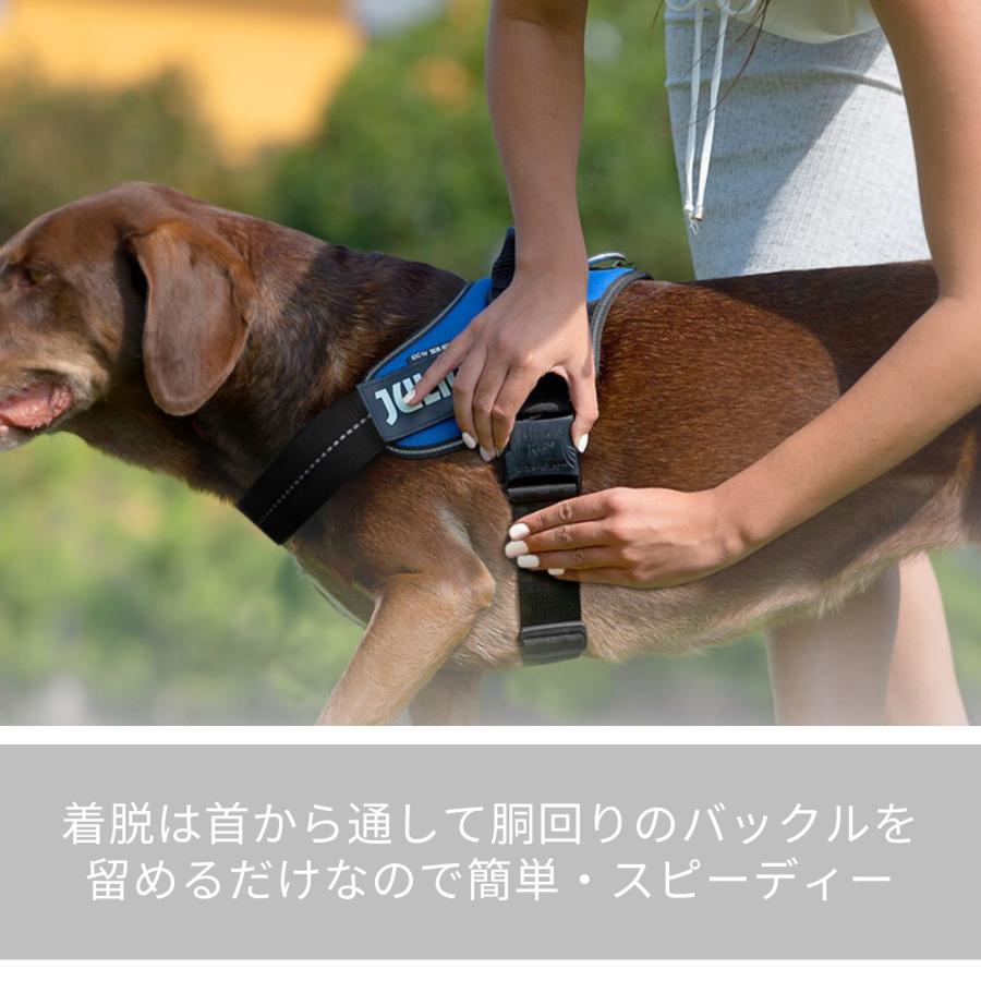 ラベルプレゼント抽選実施中】【Julius K9日本総代理店直営店】送料