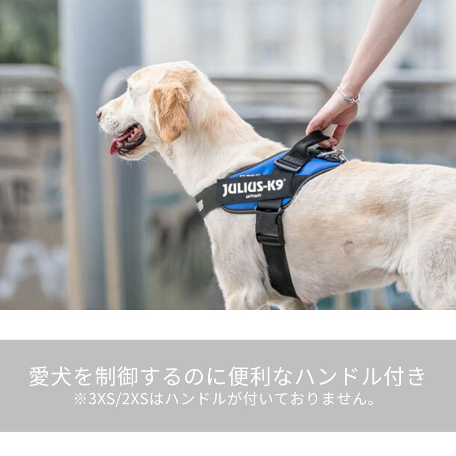 ラベルプレゼント抽選実施中】【Julius K9日本総代理店直営店】送料