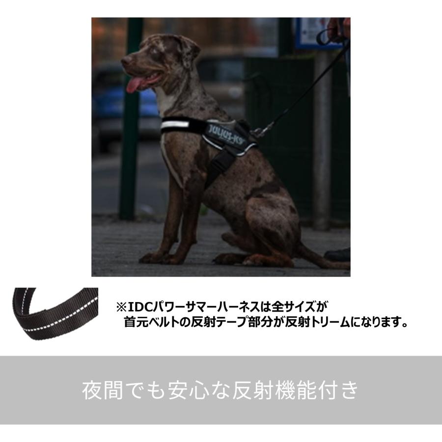 ラベルプレゼント抽選実施中】【Julius K9日本総代理店直営店】送料