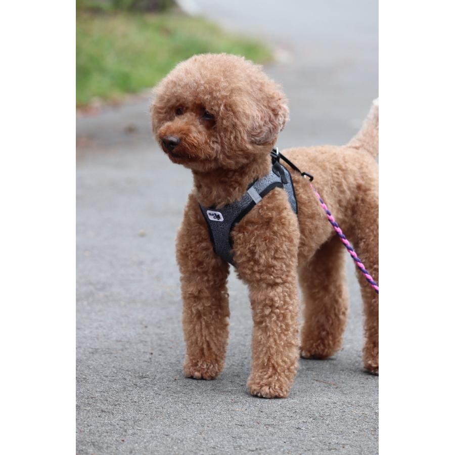 スイスの高級ドッグブランド Curli ベストハーネス メリノ Vest Harness Merino 小型犬用サイズ 1stdogcafe 通販 Yahoo ショッピング