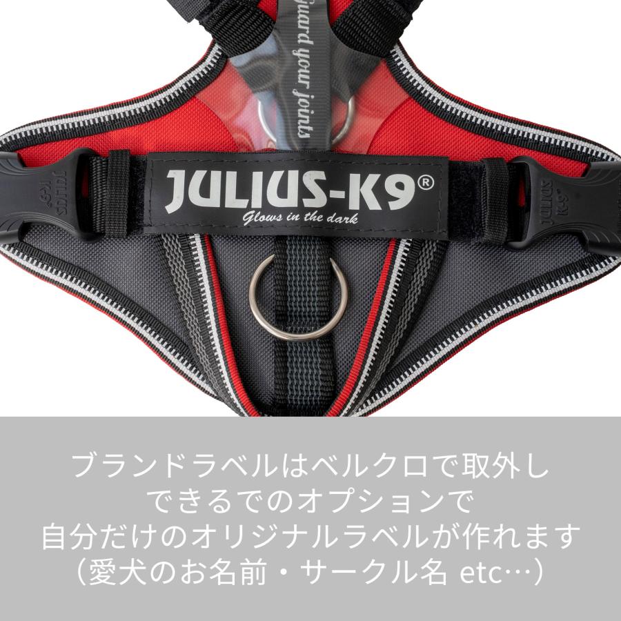 Julius K9日本総代理店直営店】【送料無料】【Julius-K9】ユリウス