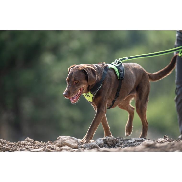 送料無料 Julius K9 ユリウスケーナイン ｉｄｃロングウォークハーネス ｍ ２ｘｌサイズ 中 大型犬用サイズ 1stdogcafe 通販 Yahoo ショッピング