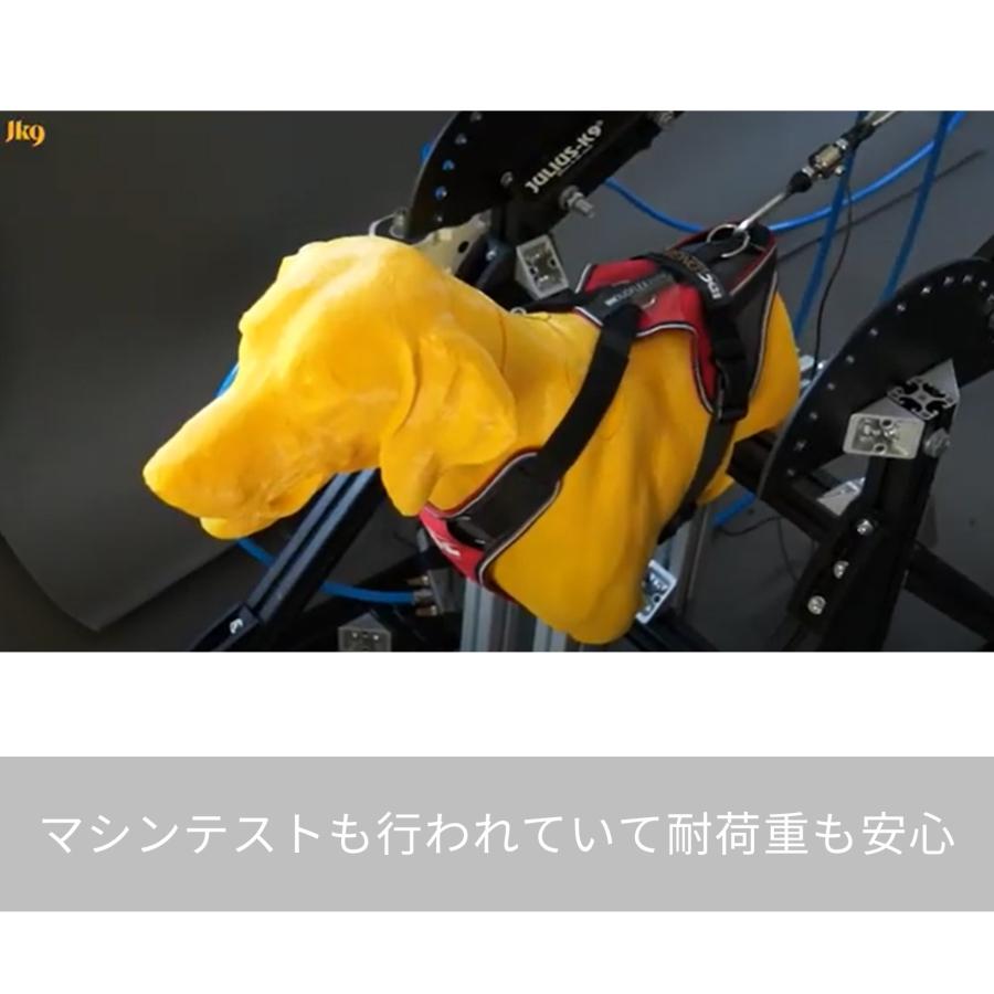 Julius K9日本総代理店直営店】【送料無料】【Julius-K9】ユリウス