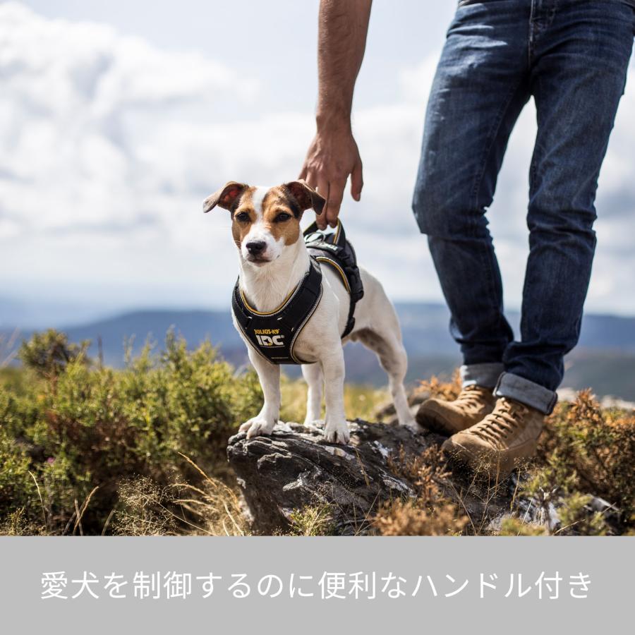 Julius K9日本総代理店直営店】【送料無料】【Julius-K9】ユリウス