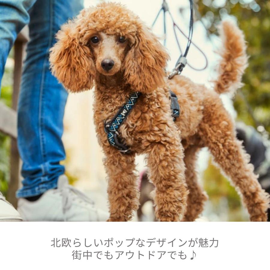 フィンランドのドッグブランド【Hurtta】【フルッタ】・ラズルダズル