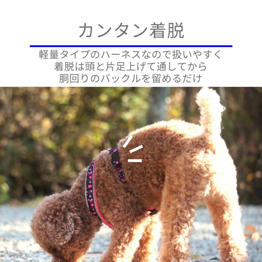 Hakusan]ジャパンデザイン・メッシュY型ドットハーネス : 1stDogCafe