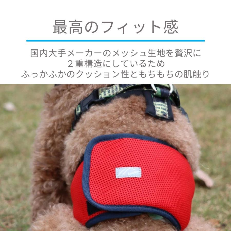 Hakusan]こんなマナーベルトが欲しかった【ファーストマナーベルト】XS