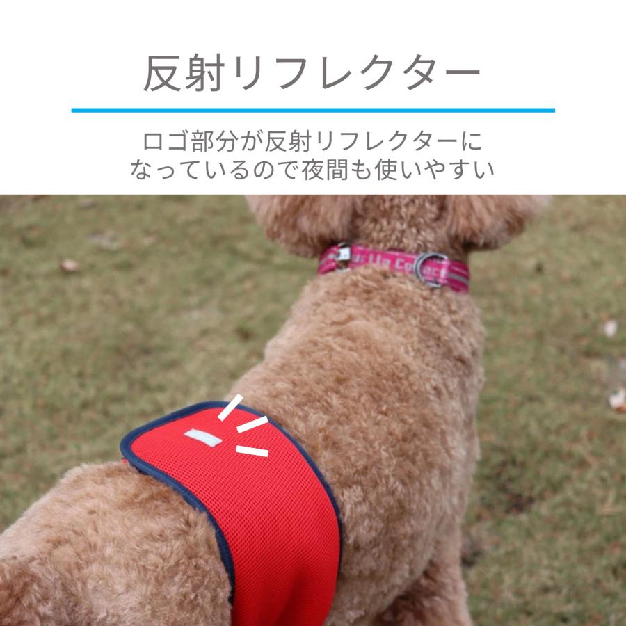 Hakusan]こんなマナーベルトが欲しかった【ファーストマナーベルト】XS