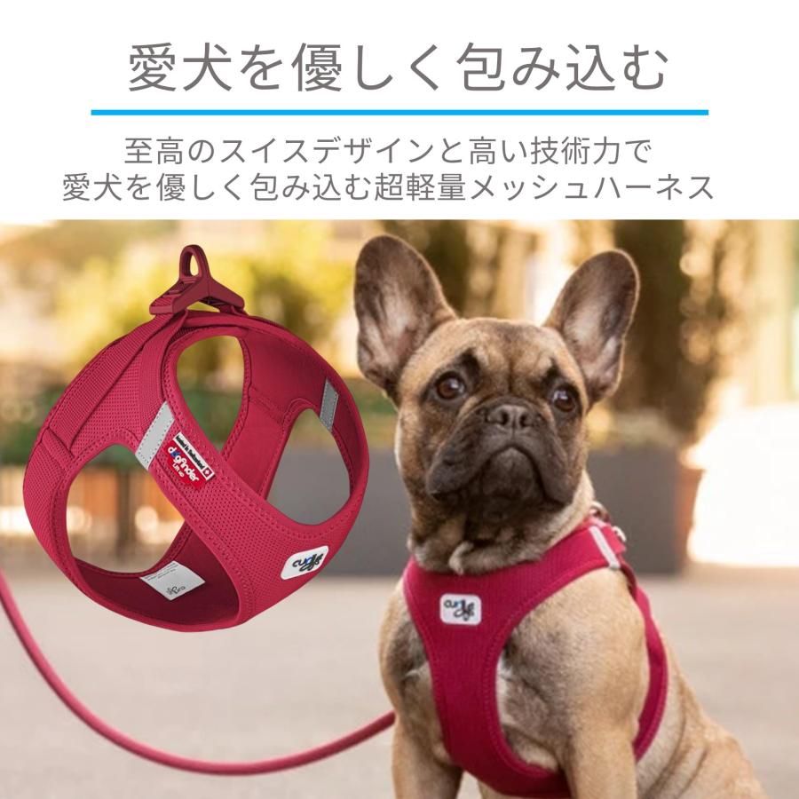 スイスデザイン【Curli】 ベストエアメッシュハーネス・クラスプ【CLASP/VEST AIR MESH HARNESS】 小型犬用サイズ｜1stdogcafe｜03