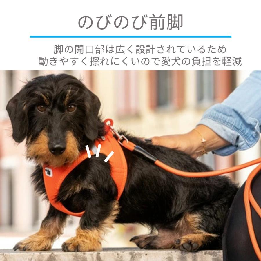 スイスデザイン【Curli】 ベストエアメッシュハーネス・クラスプ【CLASP/VEST AIR MESH HARNESS】 小型犬用サイズ｜1stdogcafe｜09