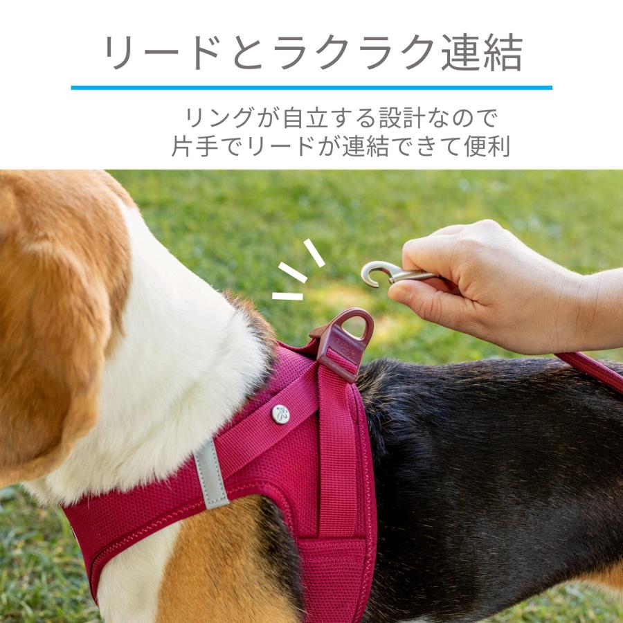 スイスデザイン【Curli】 ベストエアメッシュハーネス・クラスプ