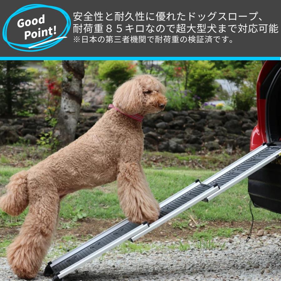 Hakusan ドッグスロープ　ケース付き 安心・安全を追求した【Hakusan・ドッグスロープ】 : 1stDogCafe
