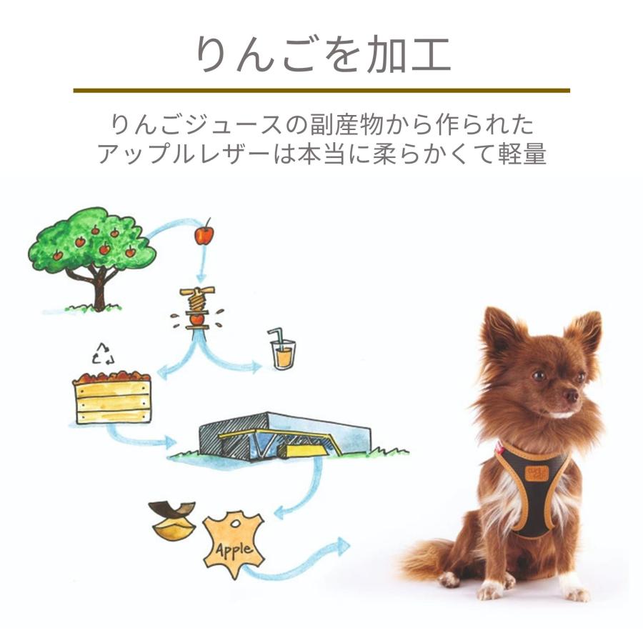 スイスデザイン【Curli】 カーリープレミアムコレクション アップル