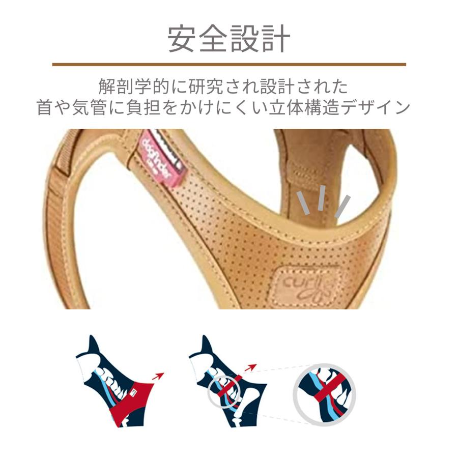 スイスデザイン【Curli】 カーリープレミアムコレクション アップル