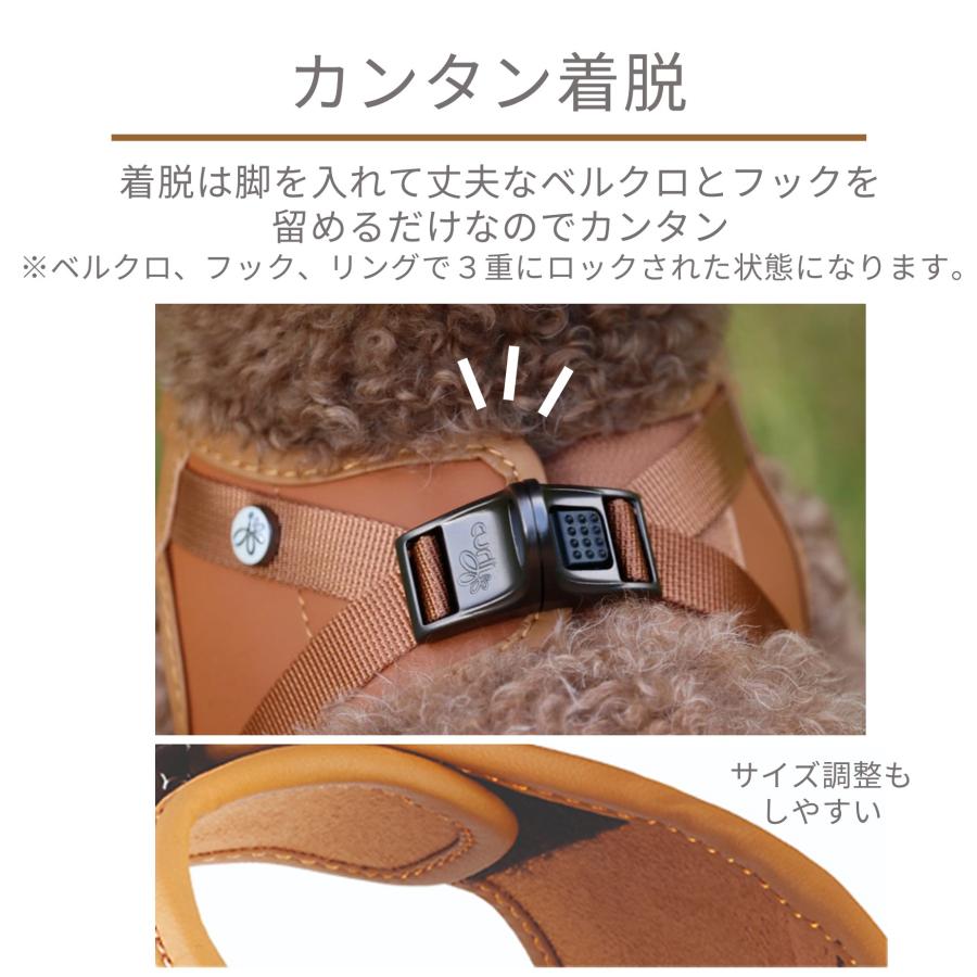 スイスデザイン【Curli】 カーリープレミアムコレクション アップル