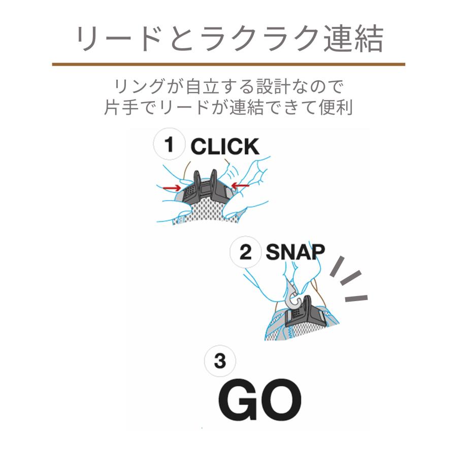 スイスデザイン【Curli】 カーリープレミアムコレクション アップル