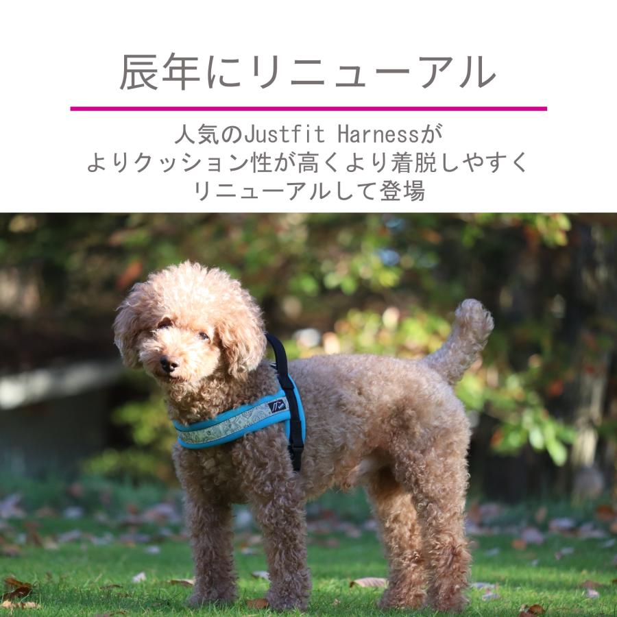 Hakusan]オリジナルハーネス【ジャストフィットドラゴンハーネス