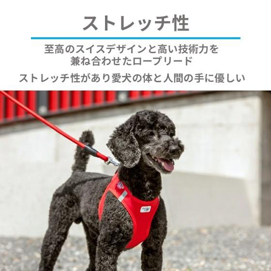 スイスの高級ドッグブランド【Curli】 カーリー ストレッチ