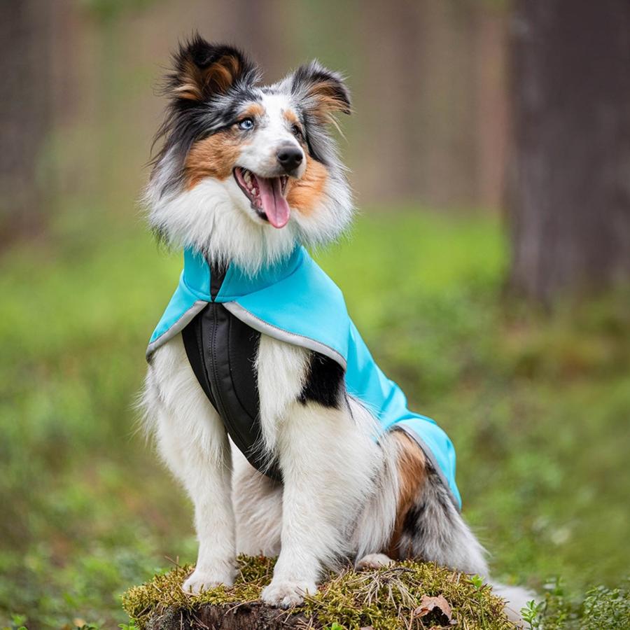 フィンランドのドッグブランド【Pomppa】【ポムッパ】・ドッグ