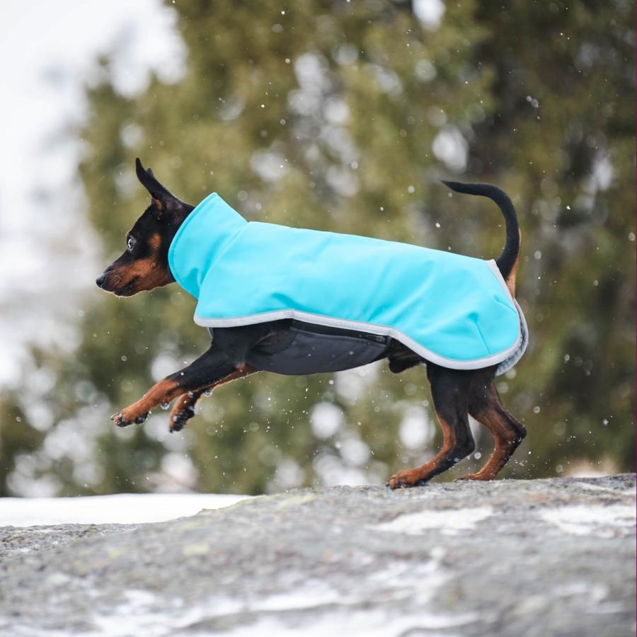 フィンランドのドッグブランド【Pomppa】【ポムッパ】・ドッグ