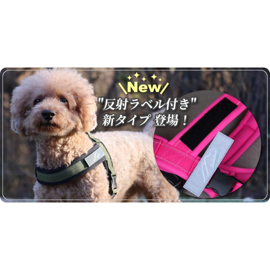 Hakusan]体に優しくフィットする進化したTハーネス【ラビットハーネス