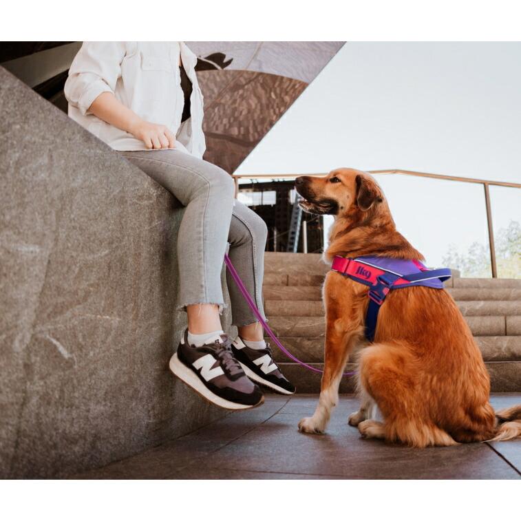 Julius K9日本総代理店直営店】【送料無料】【Julius-K9】ユリウス