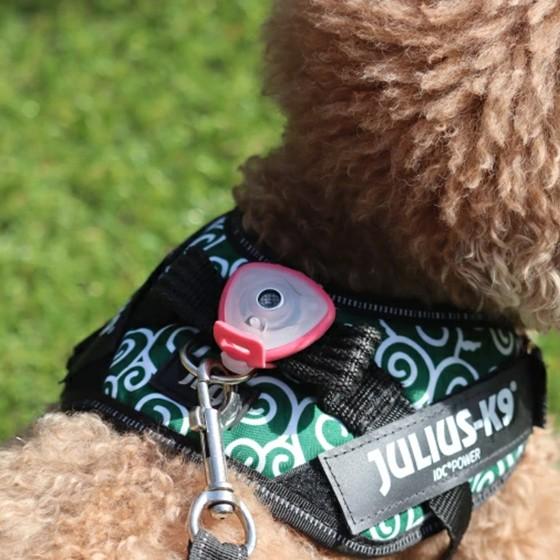 フミトバンク／ナンパ音声コンプリートボックス・限定特典付 愛犬に優しい！！ダニやノミを寄せ付けなくする超音波虫よけ【Sound