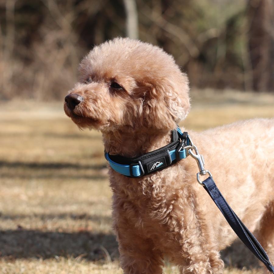 Hakusan]愛犬の首に優しくフィットするダブルリング首輪【ゼロ