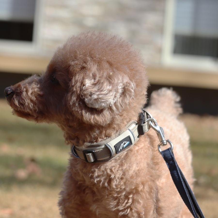 Hakusan]愛犬の首に優しくフィットするダブルリング首輪【ゼロ