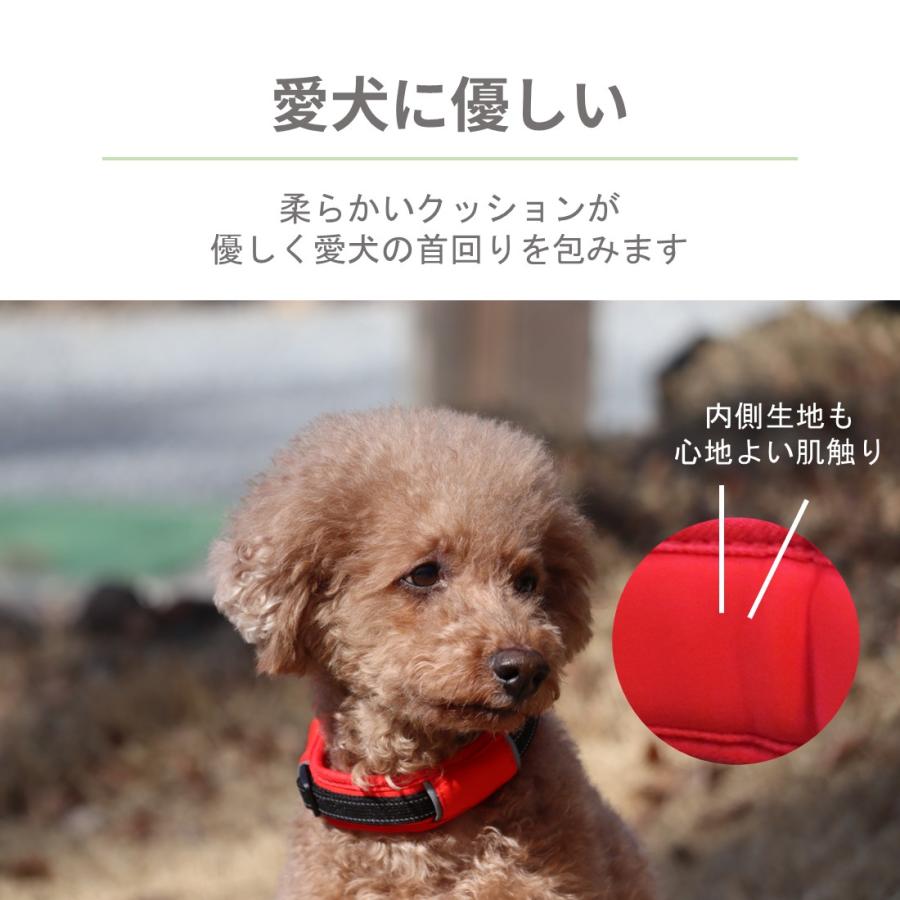 Hakusan]愛犬の首に優しくフィットするダブルリング首輪【ゼロ