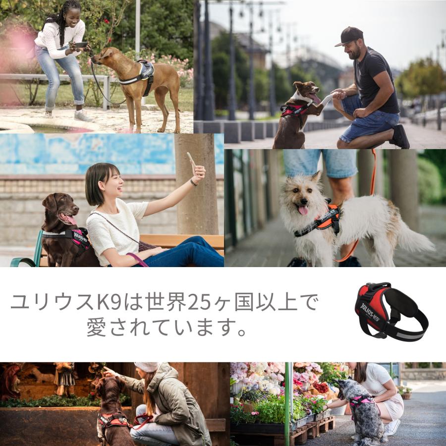 Julius-K9 IDCパワーハーネス オリジナルラベル レザー風 : 1stDogCafe