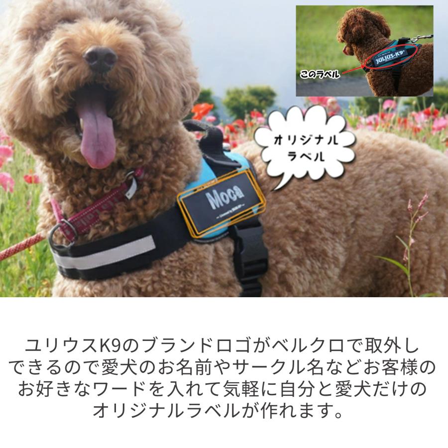 【ハーネスとリードを同時購入したお客様限定】Julius-K9 IDCパワーハーネス　オリジナルラベル　キャンペーン｜1stdogcafe｜02