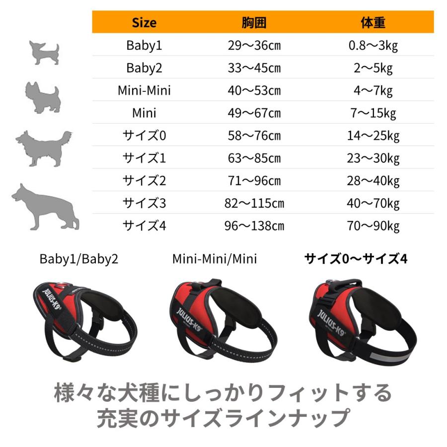ラベルプレゼント抽選実施中】【Julius K9日本総代理店直営店