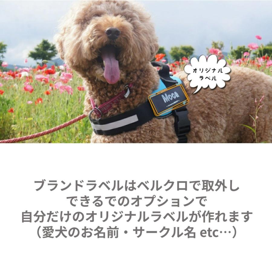 ラベルプレゼント抽選実施中】【Julius K9日本総代理店直営店
