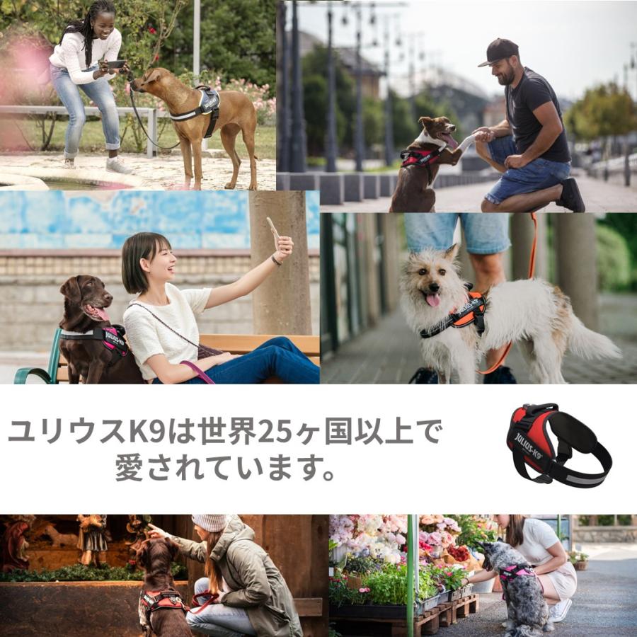 ラベルプレゼント抽選実施中】【Julius K9日本総代理店直営店