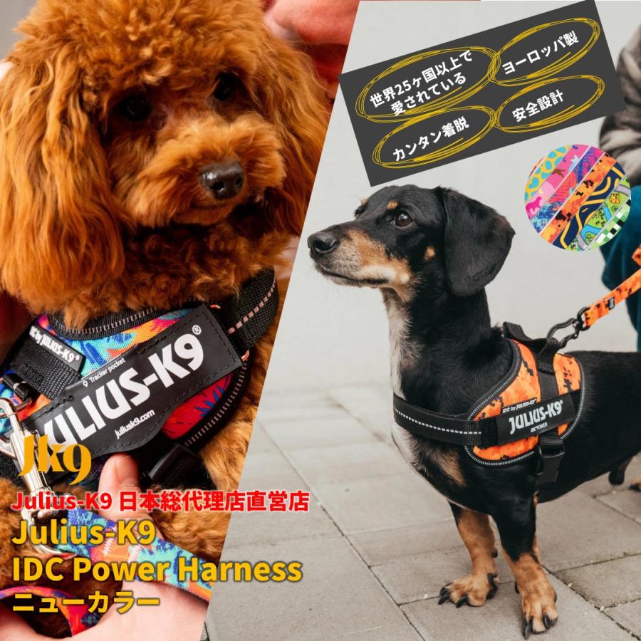ラベルプレゼント抽選実施中】【Julius K9日本総代理店直営店