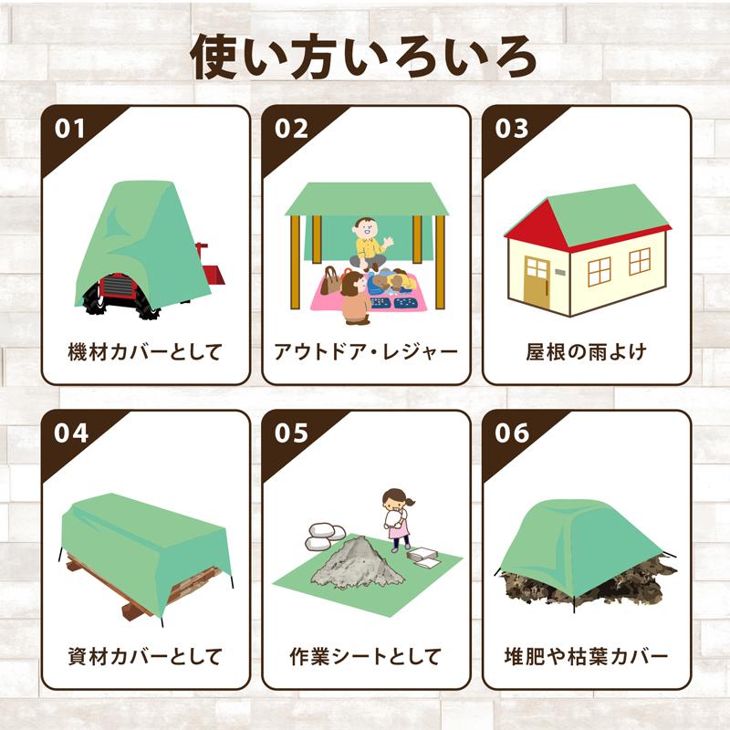 ブルーシート グリーンシート 厚手 #3000 1.9×3.8m ハトメ付き