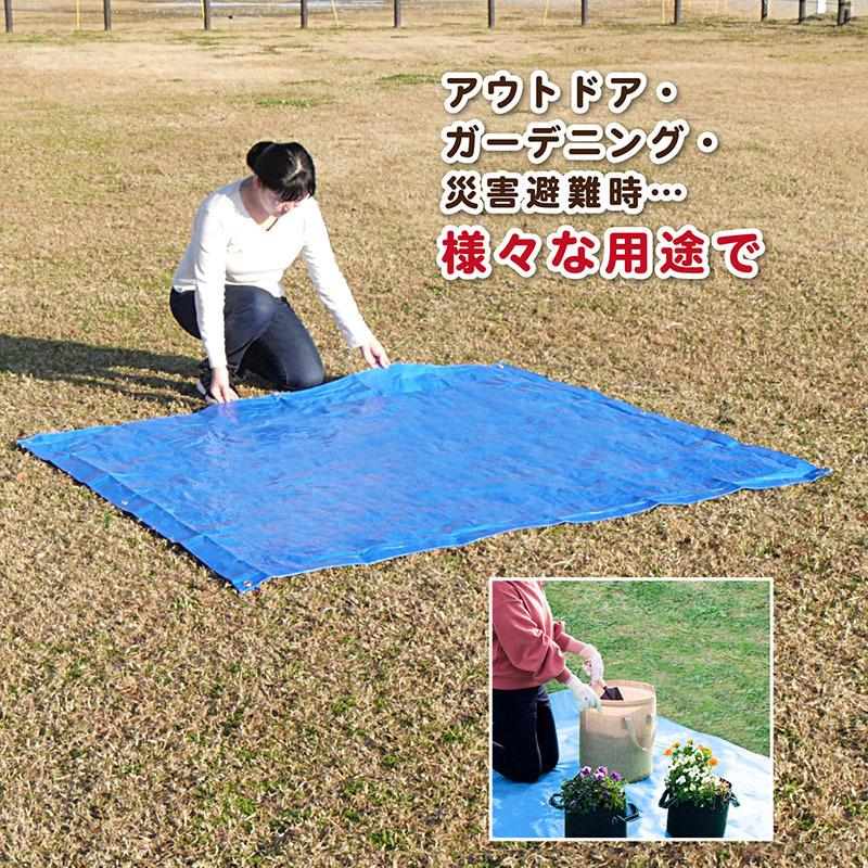 養生シート　ブルーシート ジャストタイム二十四 養生用ブルーシート #1000 約0.6m×50m BS#1000