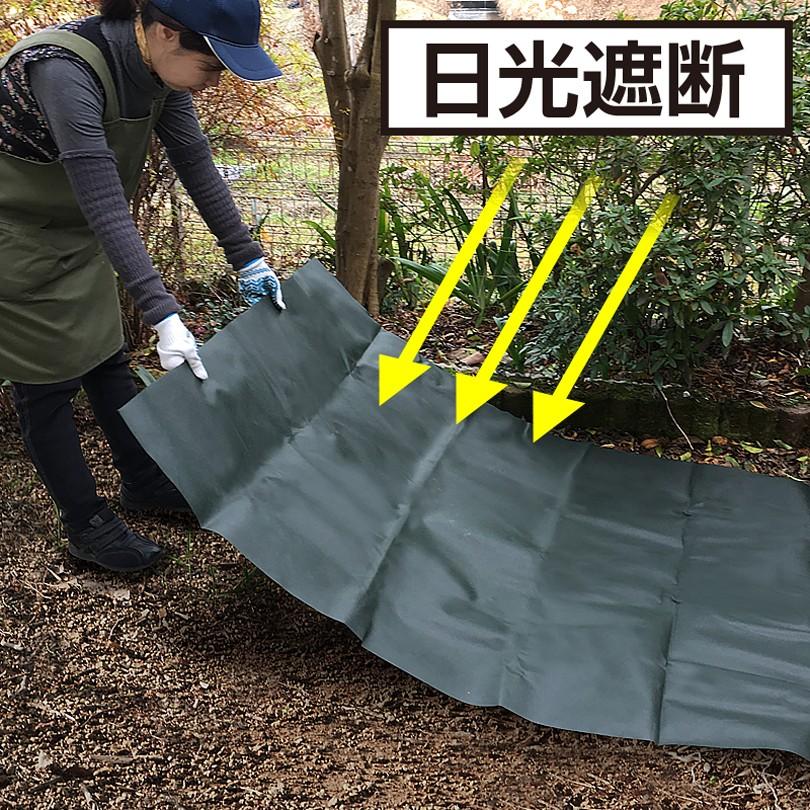 アストロ公式 製品保証付き 園芸用防草シート 1×5m グリーン 除草