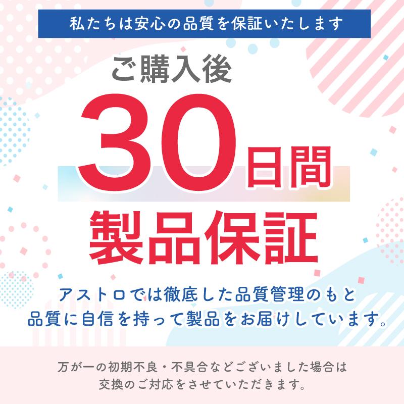 アストロ公式 製品保証付き 固定ピン 120本セット 錆びない 防草シート 