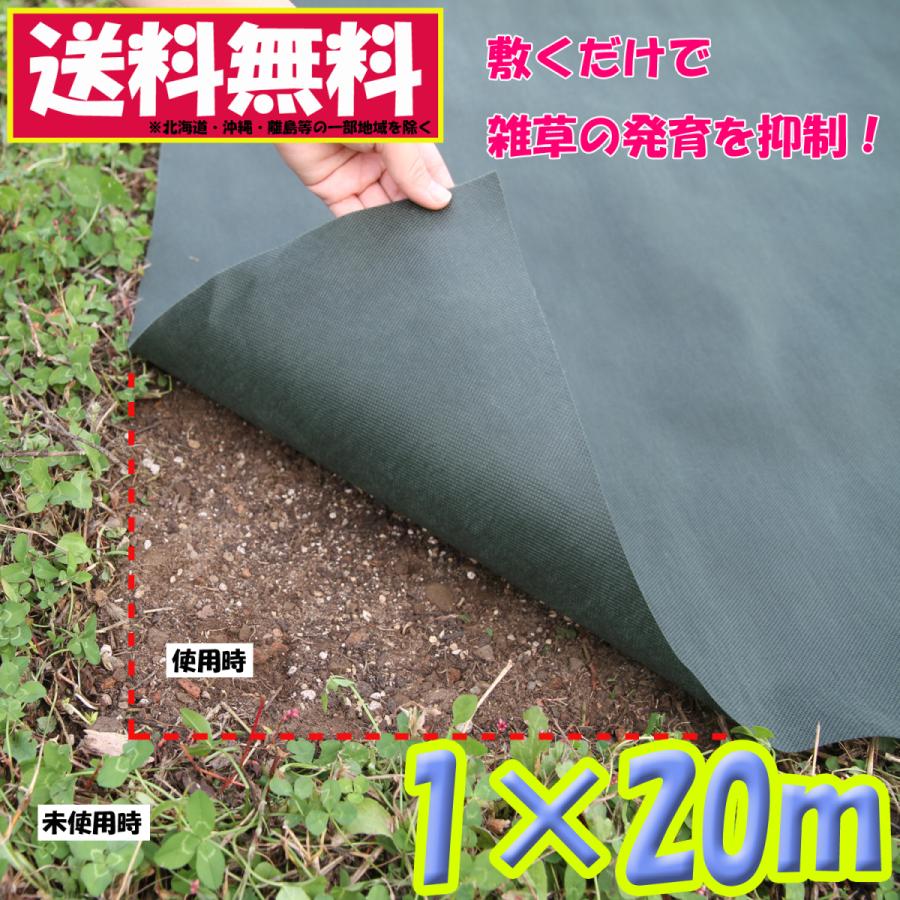 最新作 高透水 厚手 100個セット 1 2m 1 2m 雑草防止 防草シート 高耐久 耐用年数4 6年 農業 ガーデニング 雑草抑制 農業資材 農用 雑草対策 農用シート Hlt No