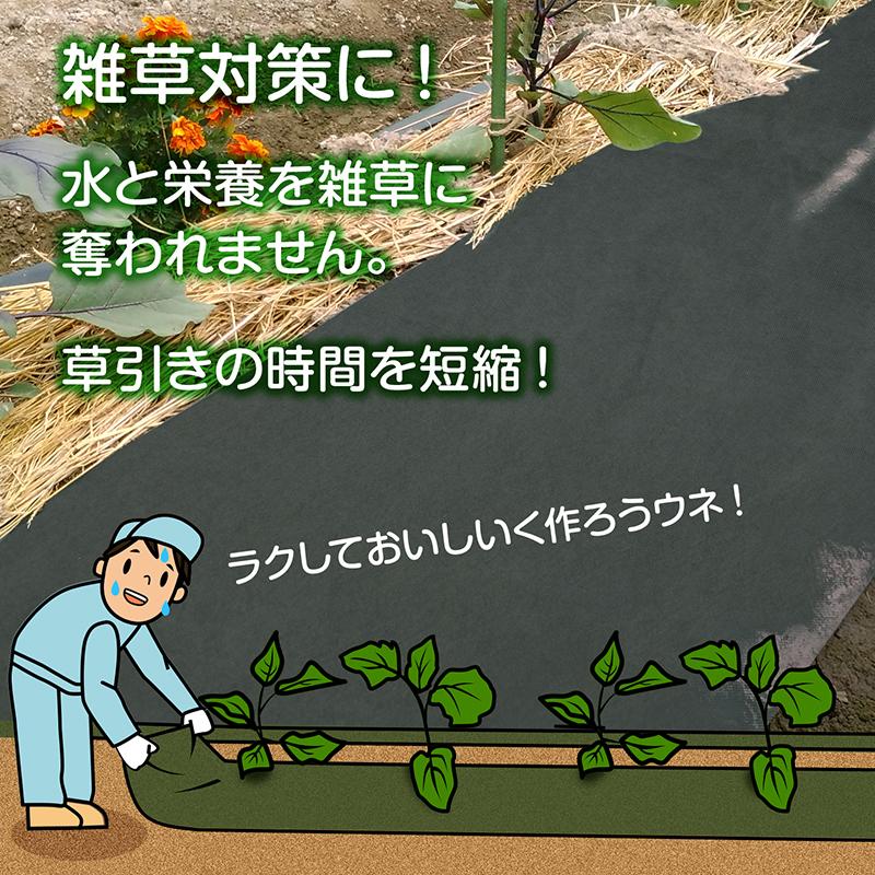 アストロ公式 製品保証付き 防草シート 0.5×20m 畝用 除草シート