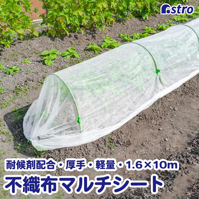 アストロ公式 園芸用不織布シート 1.6×10m 耐候剤配合 べたがけシート