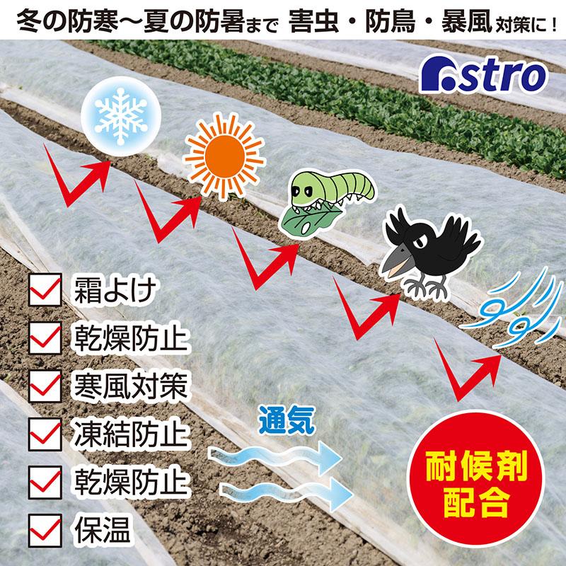 アストロ公式 園芸用不織布シート 1.6×10m 耐候剤配合 べたがけシート
