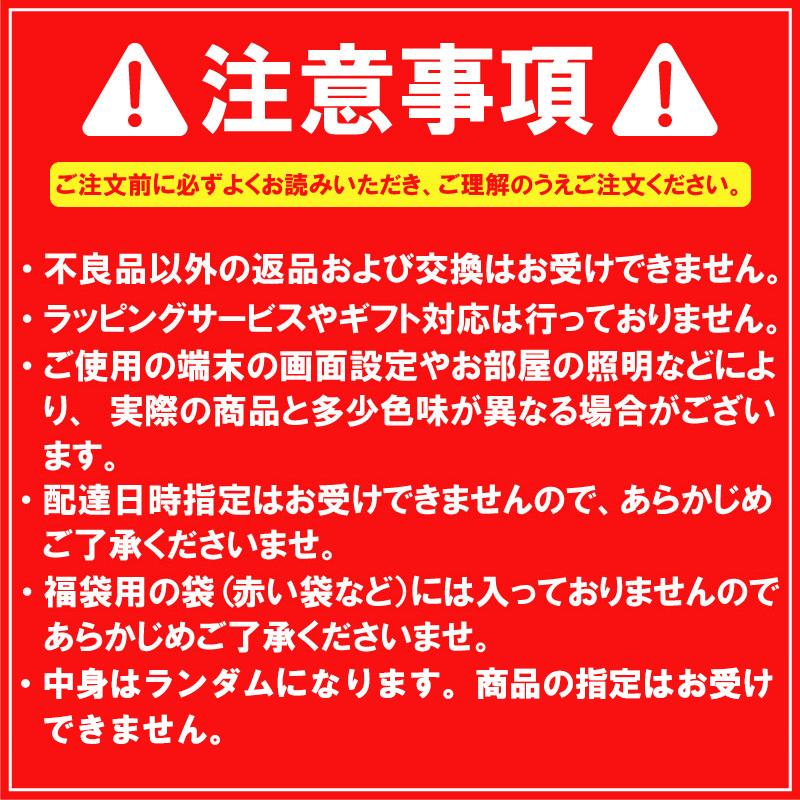 【2024福袋】人気商品詰め合わせ 10点セット 日用品 生活雑貨 防災 収納ケース ラッキーバッグ アストロ 616-lb※中身は指定できません｜1storage｜02