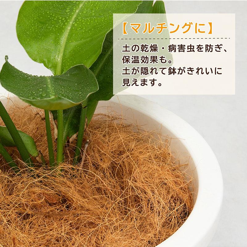 ココヤシファイバー 100g マルチング 土隠し 底石代わり ココヤシ繊維 ココファイバー プランター 鉢植え 園芸 家庭菜園 アストロ 624-02｜1storage｜02