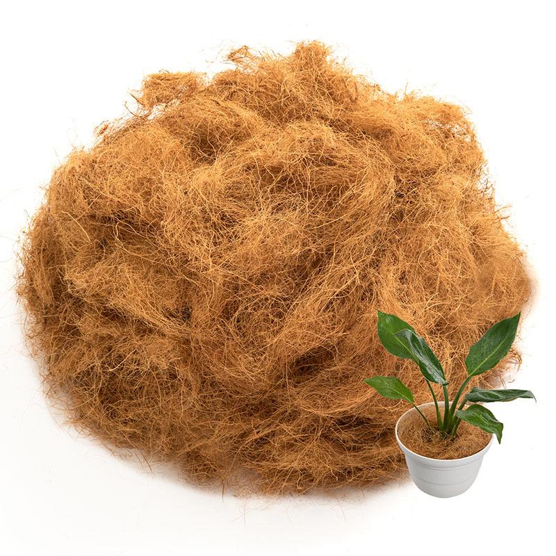 アサイーヤシ ファイバー鉢 お皿付き 楽天市場】鉢 プランター PLUS the green アーバンプランツ