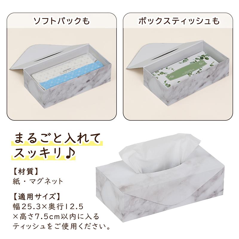 ASTROティッシュカバー　ASTRO枕カバー ASTROティッシュカバーASTRO枕カバー