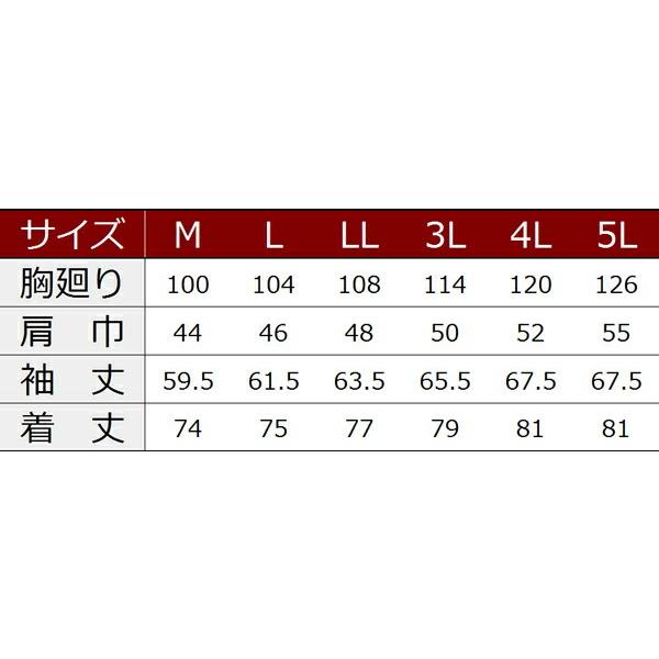 Ｍ-5Ｌ 作業服 寅壱 作業着 3900-125 長袖シャツ (スタイリッシュ／レギュラーフィット 春夏用)(大きいサイズも同価格) | 寅壱 | 02